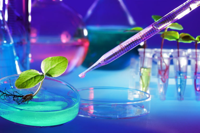 Biopolymers Imagro UK